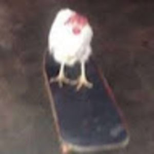 Meet your Posher, Chloè